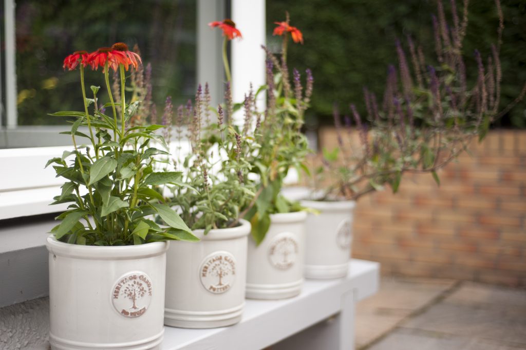 Herb garden and floral arrangements in ceramic pots.