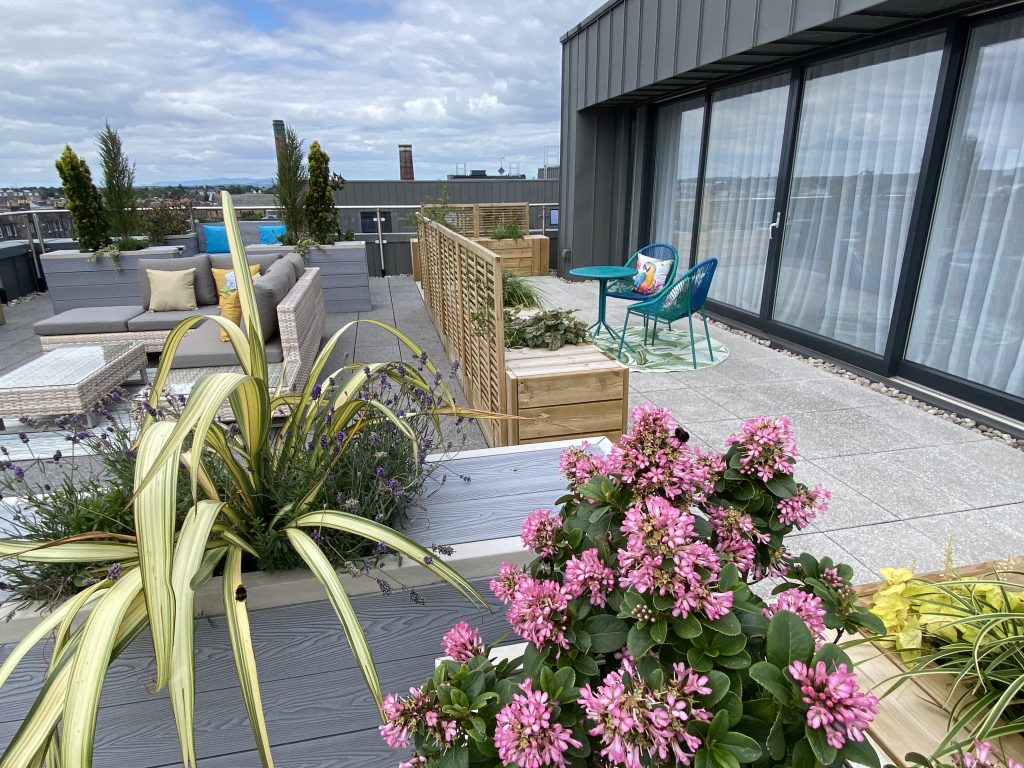 Edinburgh rooftop terrace with vibrant florals.