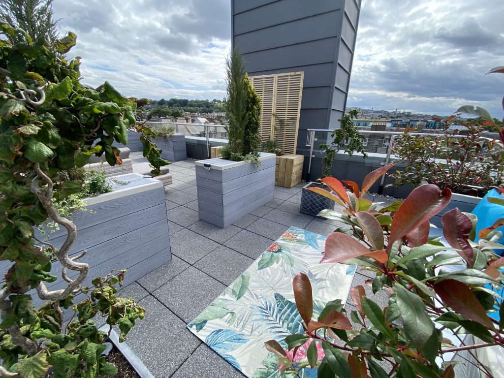 Rooftop garden with potted plants and city skyline in the background at night.