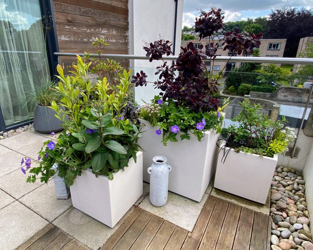 Stylish balcony in Edinburgh featuring contemporary planters with lush greenery and flowers.