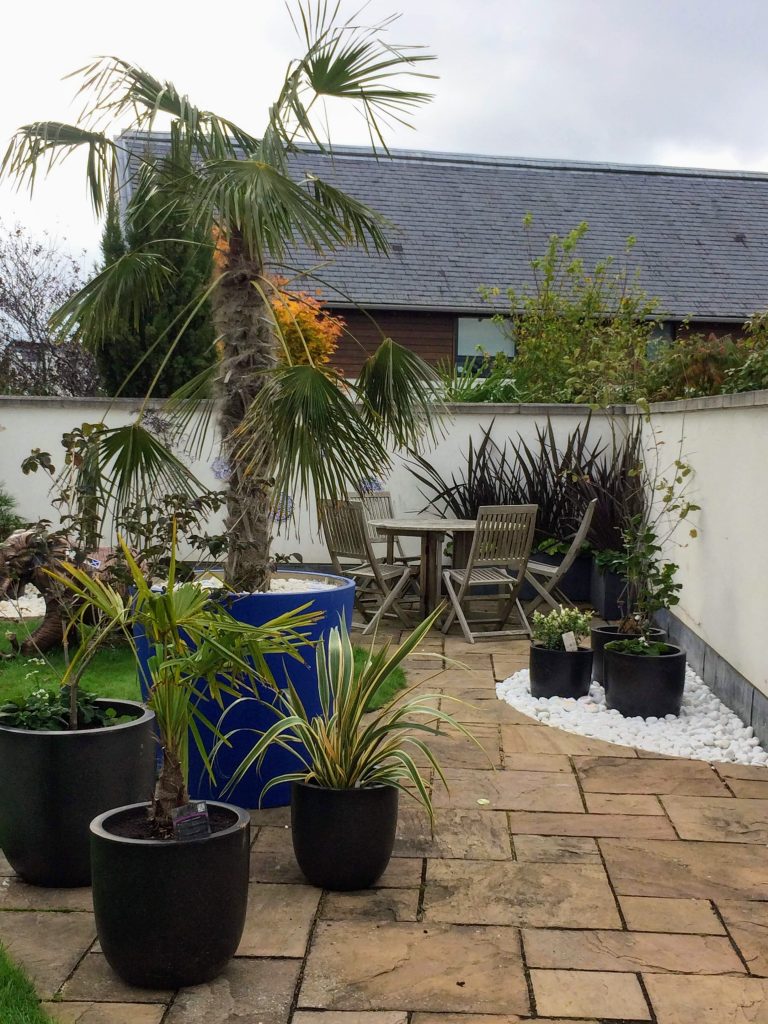 Tropical Edinburgh garden with bold blue accents.