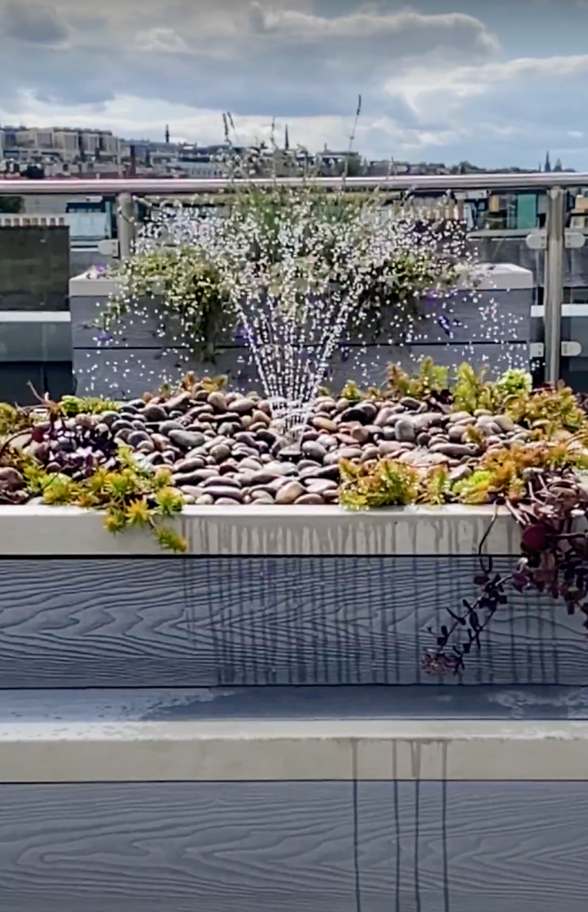 Elegant rooftop water feature with natural pebbles and flowers.