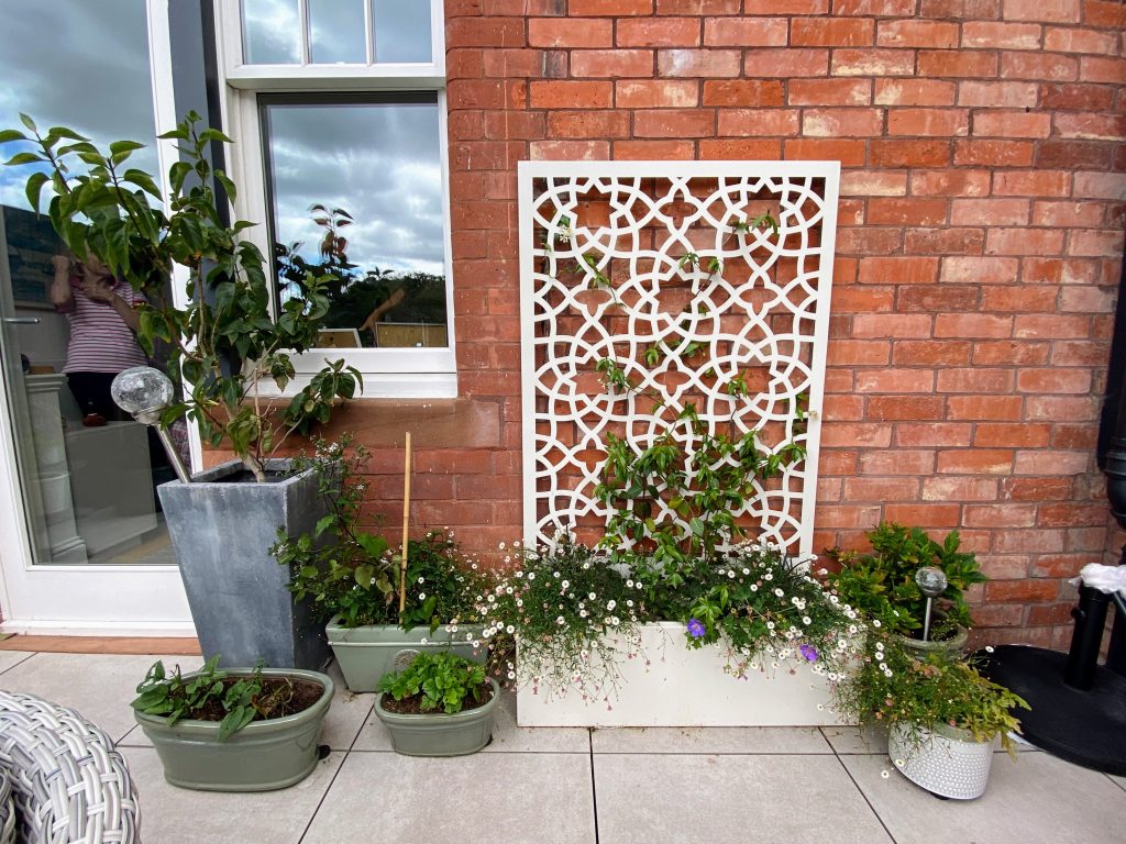 Stylish white lattice screen adorned with greenery and potted flowers.