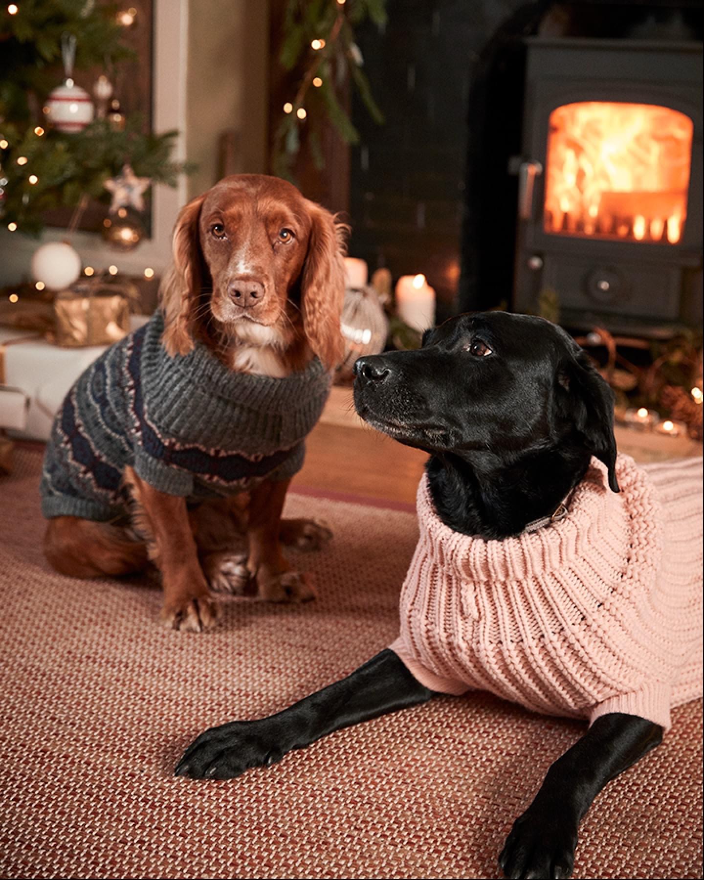 Two dogs in Barbour knit sweaters lounging by a cozy fireplace, styled by Angela Moffat, Stylist, Edinburgh, Scotland.