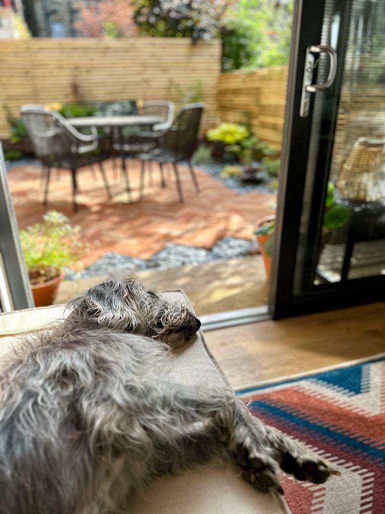 A relaxed dog lying indoors, overlooking a stylish garden dining area with herringbone terracotta-tile-flooring