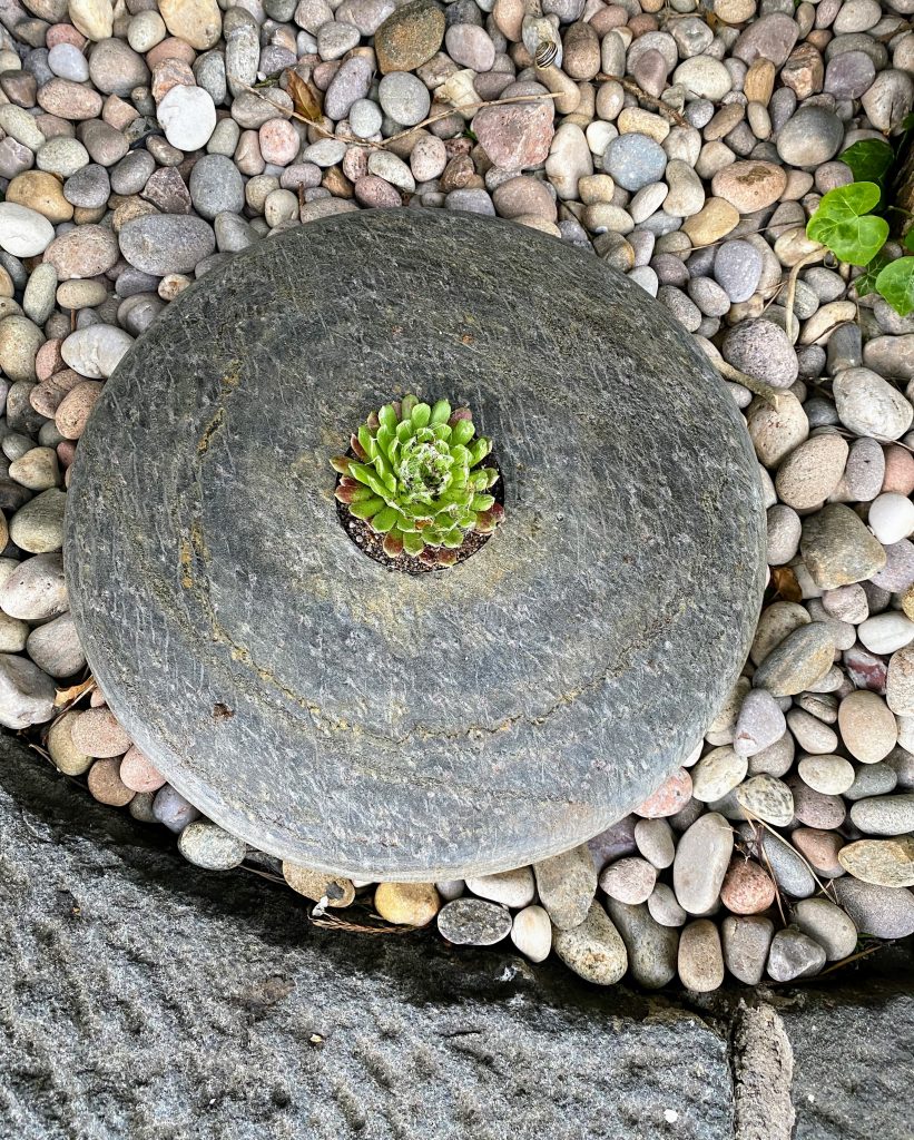 Unique circular slate feature with succulent accents.