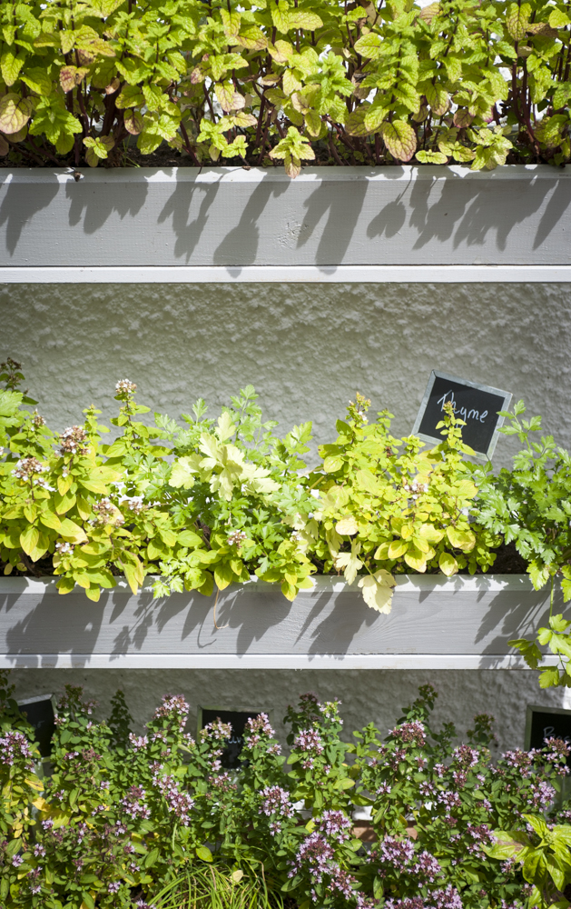 Herb garden planter for fresh outdoor flavour.