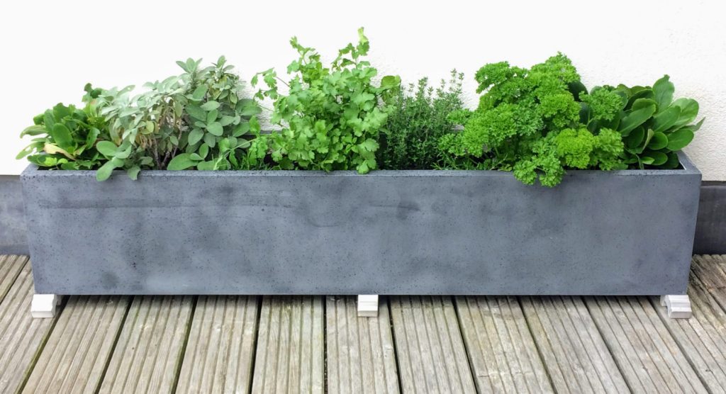 Fresh herbs planted in a sleek, modern planter on a wooden deck.