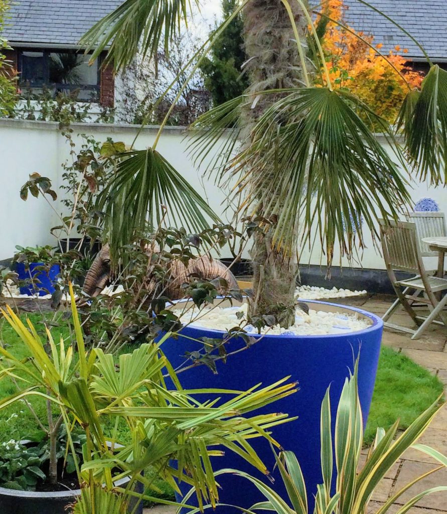 Tropical garden with bold blue planters.