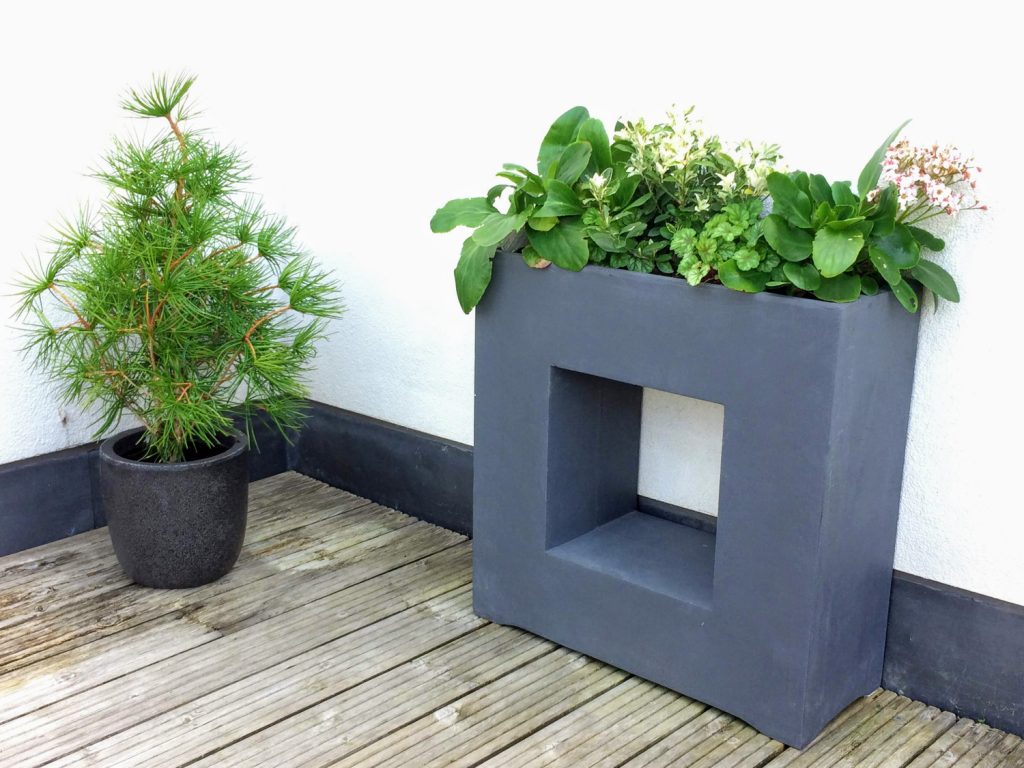 Modern gray planter with vibrant evergreen plants for a functional garden touch.