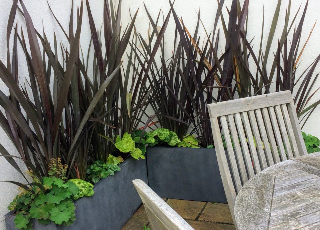 Stylish phormium plants in modern slate planters for a small outdoor space.